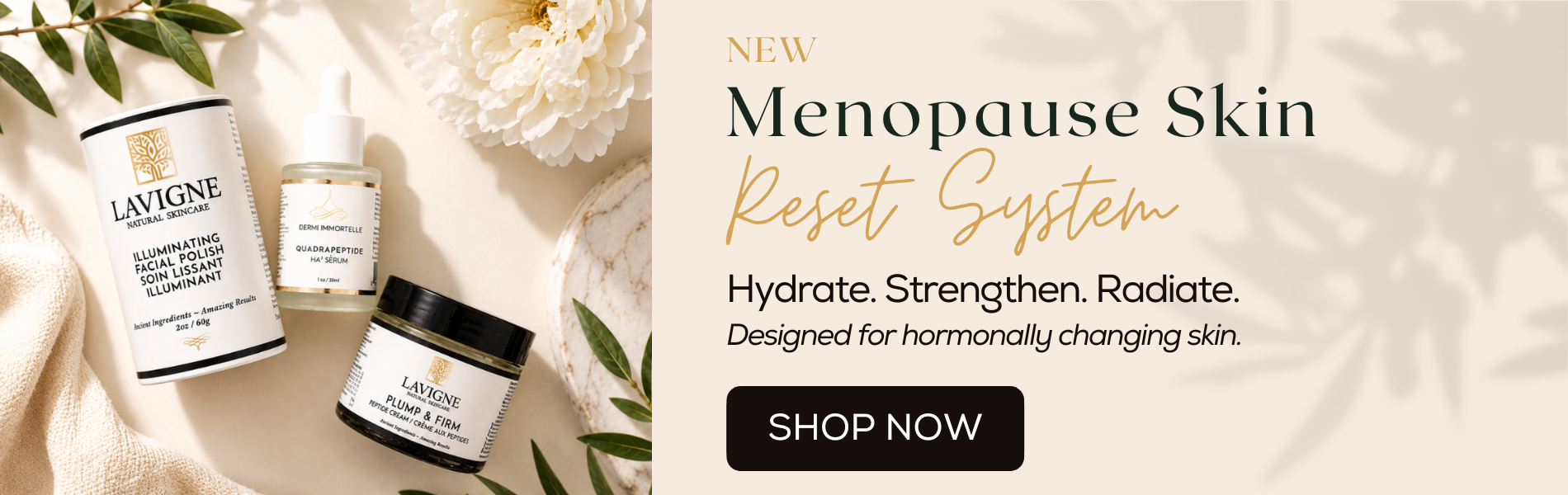 Menopause Skin Reset System